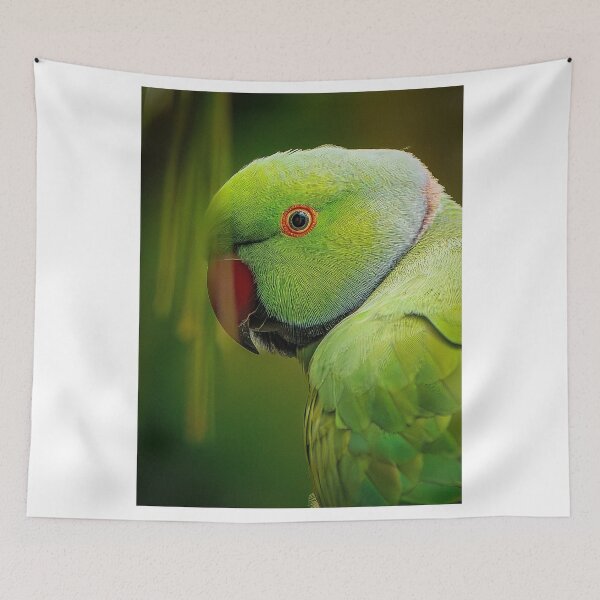 Item preview, Pumpkin Acer Season Forever designed and sold by fjakopje.