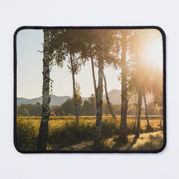 Item preview, Vienna AC Sparta Praha Elegant Skyline designed and sold by Alexewlow.
