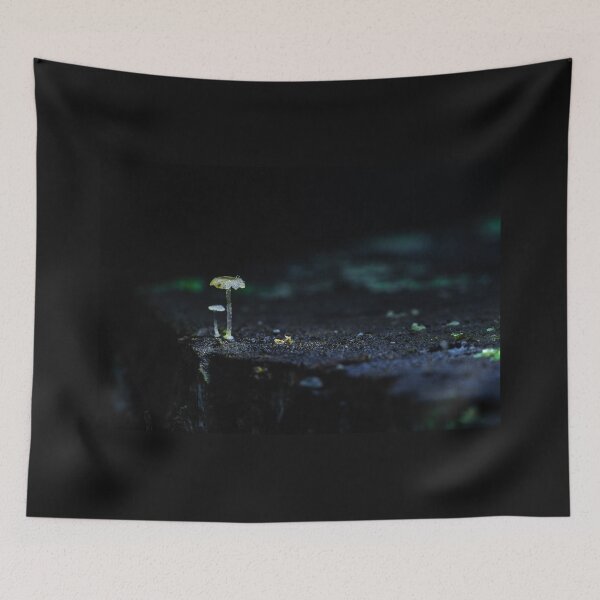 Item preview, Quiet Toadstool Glow designed and sold by Twisted Light Images.