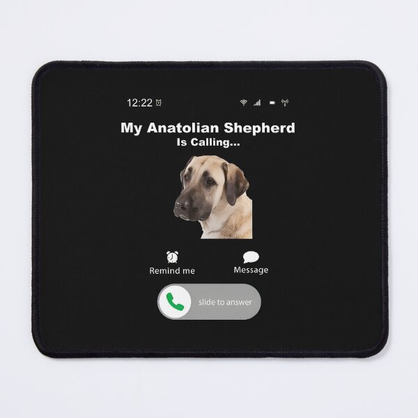 Item preview, My Anatolian Shepherd Is Calling... designed and sold by YarningsandYear.