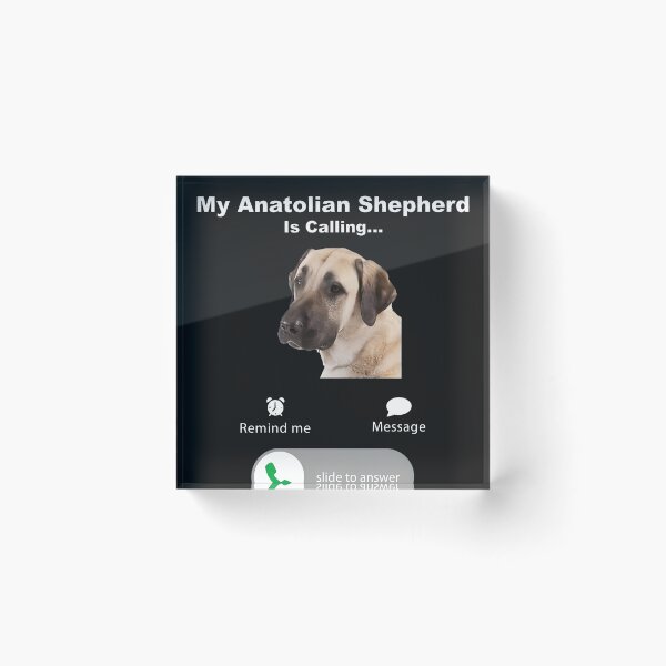 Item preview, My Anatolian Shepherd Is Calling... designed and sold by YarningsandYear.