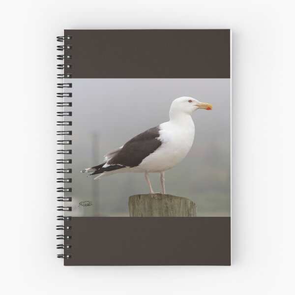 Item preview, Great Black-backed Gull designed and sold by TCW Studios.