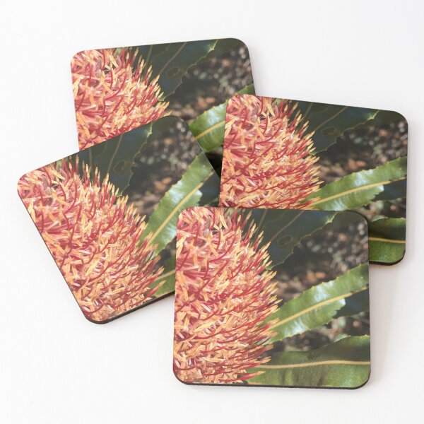 Item preview, Australian wildflower designed and sold by maisy69.