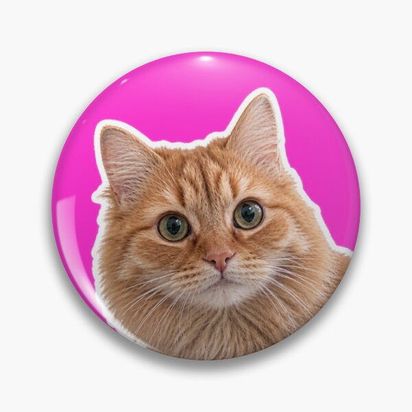 Item preview, Funny Orange Cat Meme Vinyl Sticker - No Thoughts Just Vibes designed and sold by MagicByAl.