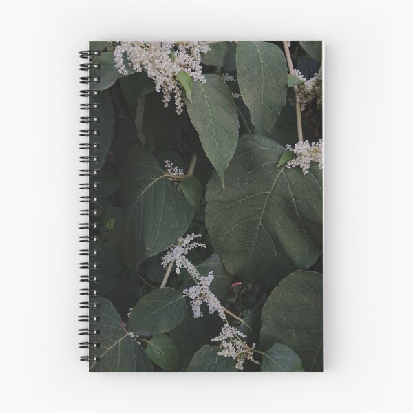 Item preview, Dark Botanical Foliage Moody Green Leaves Photography designed and sold by Nature Moments.