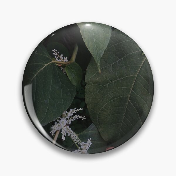 Item preview, Dark Botanical Foliage Moody Green Leaves Photography designed and sold by Nature Moments.