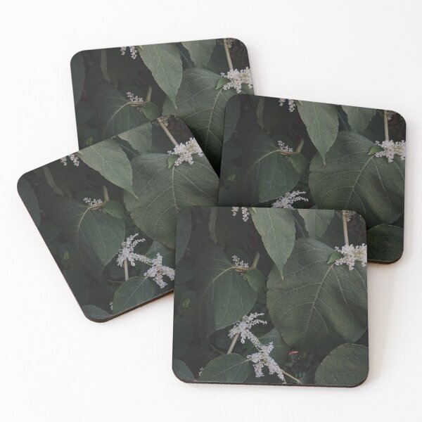 Item preview, Dark Botanical Foliage Moody Green Leaves Photography designed and sold by Nature Moments.