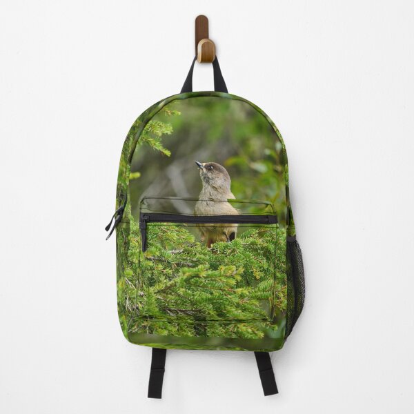Item preview, Up in the spruce. Siberian jay designed and sold by Jouko Lehto Photography.