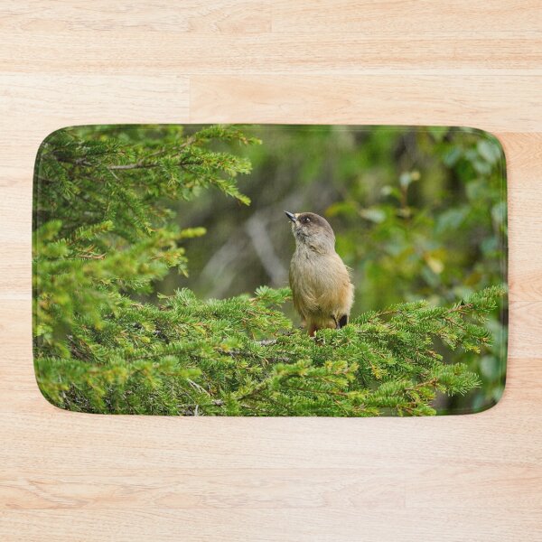 Item preview, Up in the spruce. Siberian jay designed and sold by Jouko Lehto Photography.