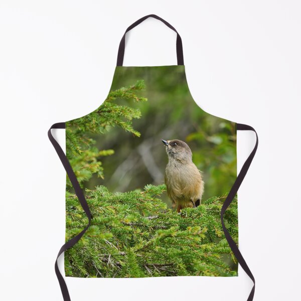 Item preview, Up in the spruce. Siberian jay designed and sold by Jouko Lehto Photography.