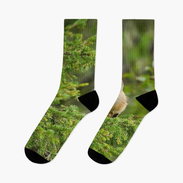 Item preview, Up in the spruce. Siberian jay designed and sold by Jouko Lehto Photography.