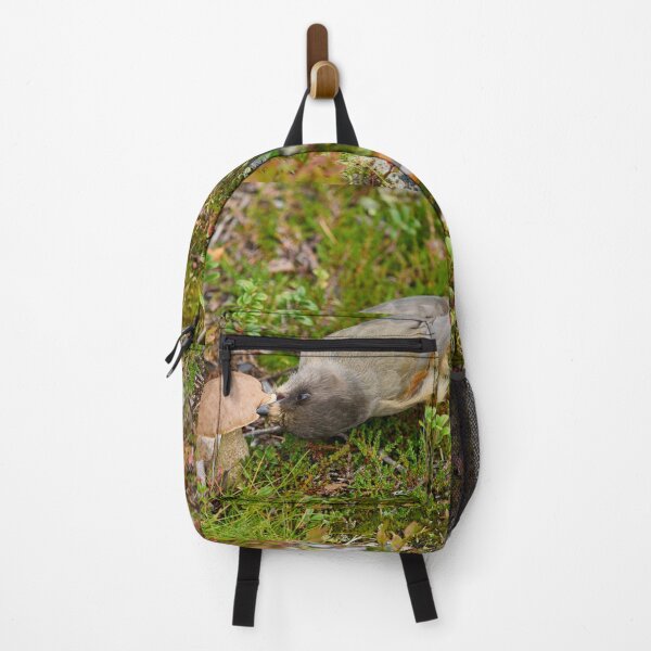 Item preview, Mmmm. Siberian jay designed and sold by Jouko Lehto Photography.