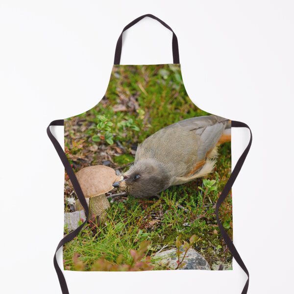 Item preview, Mmmm. Siberian jay designed and sold by Jouko Lehto Photography.