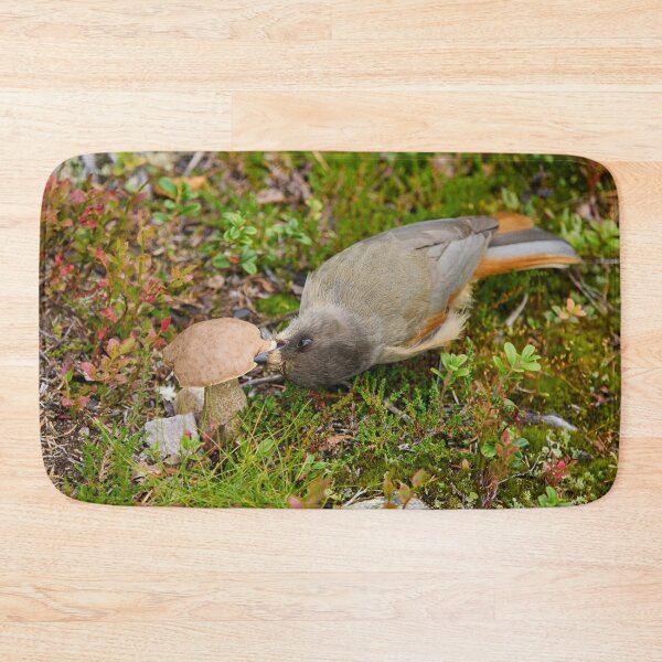 Item preview, Mmmm. Siberian jay designed and sold by Jouko Lehto Photography.