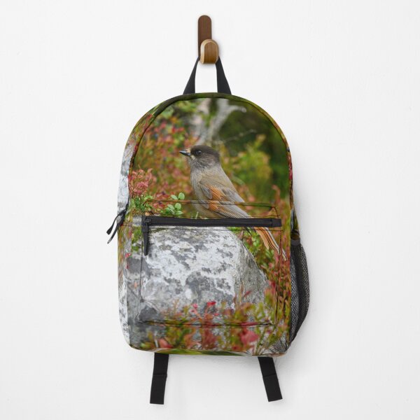 Item preview, Fall colors. Siberian jay designed and sold by Jouko Lehto Photography.