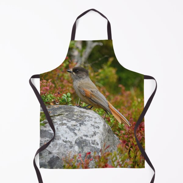 Item preview, Fall colors. Siberian jay designed and sold by Jouko Lehto Photography.