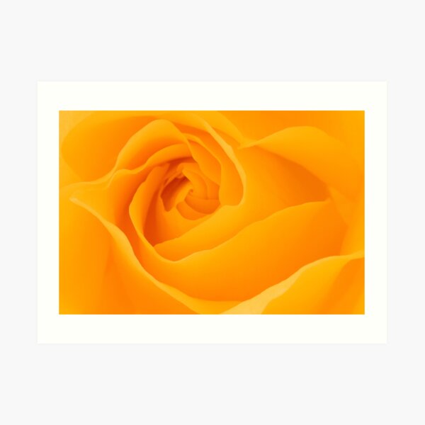 Holding the light Art Print