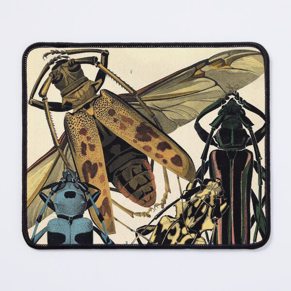 Item preview, Plate 3 designed and sold by The Ravens Ballad.