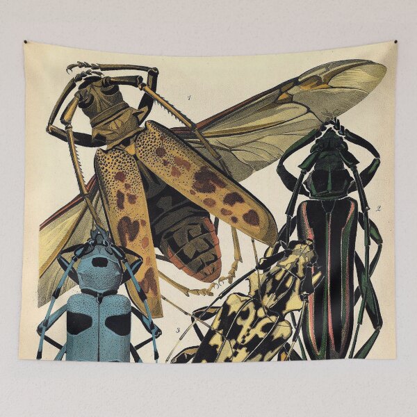 Item preview, Plate 3 designed and sold by The Ravens Ballad.