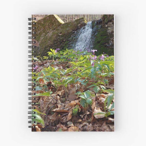 Item preview, Hiden Cascade in the Woods designed and sold by ObjectAndNature.