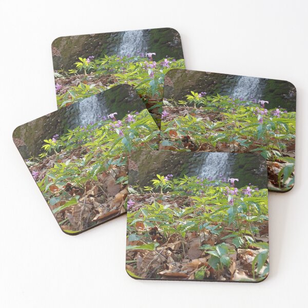 Item preview, Hiden Cascade in the Woods designed and sold by ObjectAndNature.