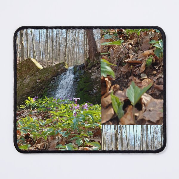 Item preview, Hiden Cascade in the Woods designed and sold by ObjectAndNature.