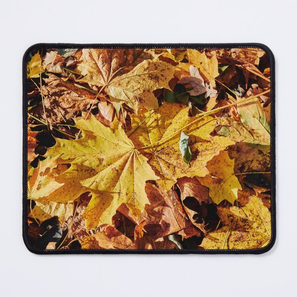 Item preview, Golden Leaf Litter designed and sold by Eidetic Photos.