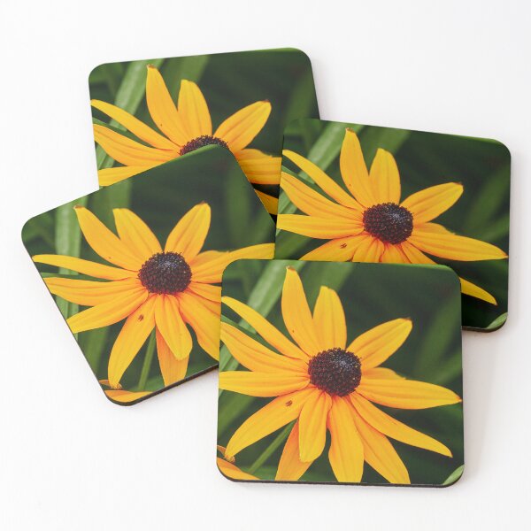 Item preview, Hermosa Rudbeckia designed and sold by Eidetic Photos.
