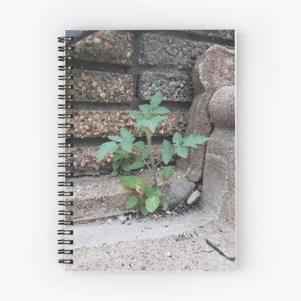 Item preview, Stairwell Tomato  designed and sold by concretebotany.