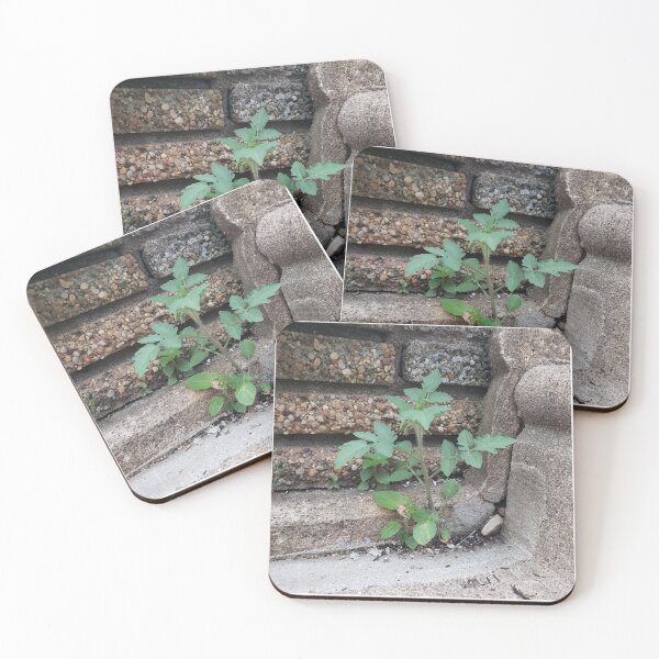 Item preview, Stairwell Tomato  designed and sold by concretebotany.