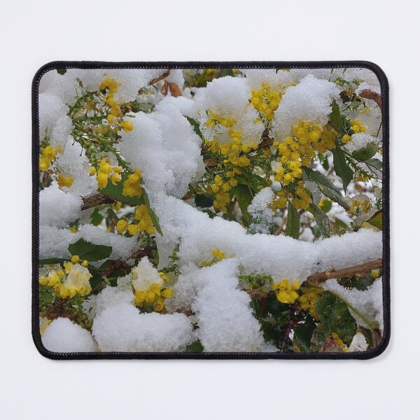 Item preview, Vibrant Yellow Flowers in Fresh Snow designed and sold by ObjectAndNature.