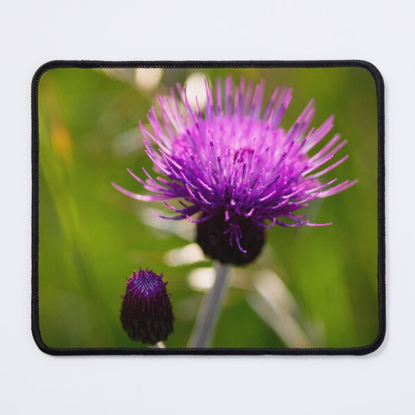 Item preview, Greater Knapweed designed and sold by Kasia Design.