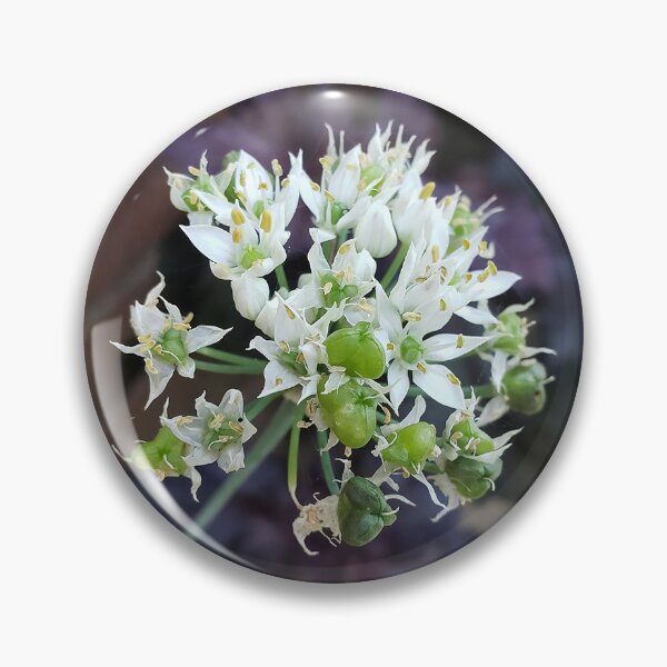 Item preview, Garlic Chives Over Perilla designed and sold by concretebotany.