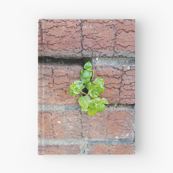 Item preview, Wallplant Pepper Elder designed and sold by concretebotany.