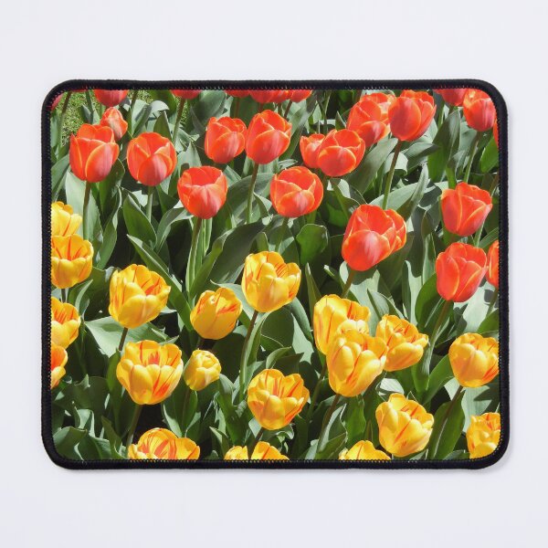 Item preview, Tulips designed and sold by Carlos Phillips.