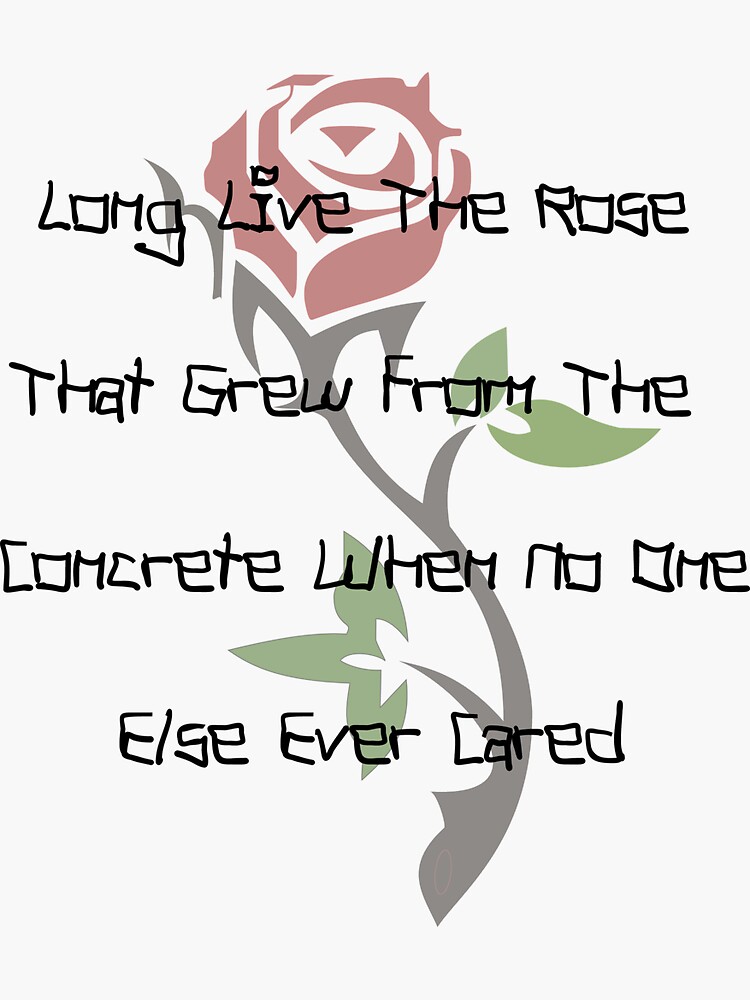 the rose that grew