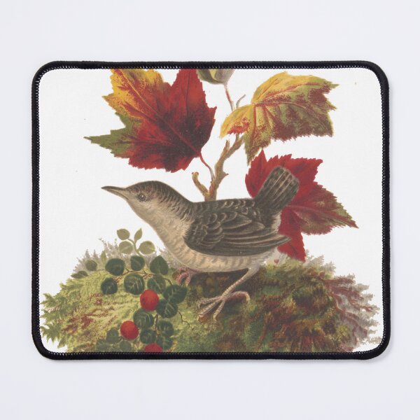 Item preview, Antique Autumn Bird and Maple Leaves Lithograph 1873 designed and sold by Antique Science Press.
