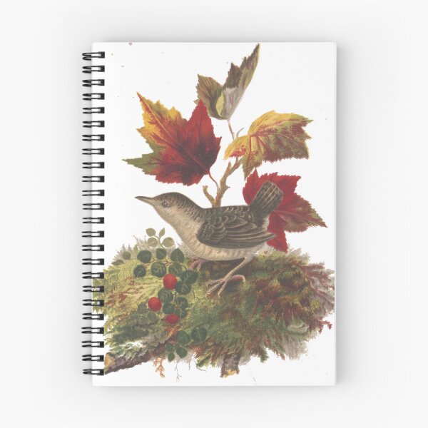 Item preview, Antique Autumn Bird and Maple Leaves Lithograph 1873 designed and sold by Antique Science Press.