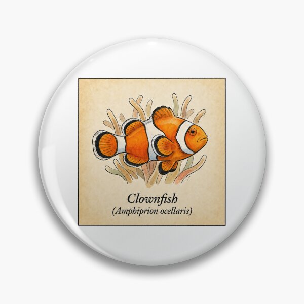 Item preview, Vintage Clownfish Scientific Illustration Print designed and sold by KenworksDigital.