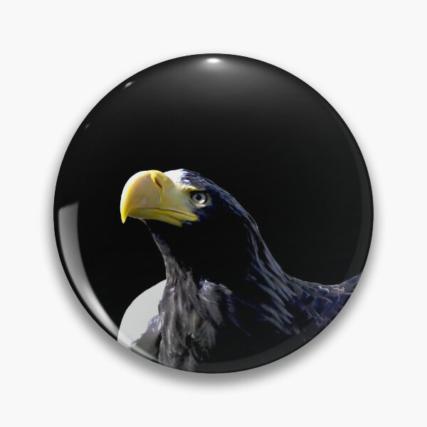 Item preview, Steller’s sea eagle  44/ Swiss Artwork Photography designed and sold by Raphael Wolf.