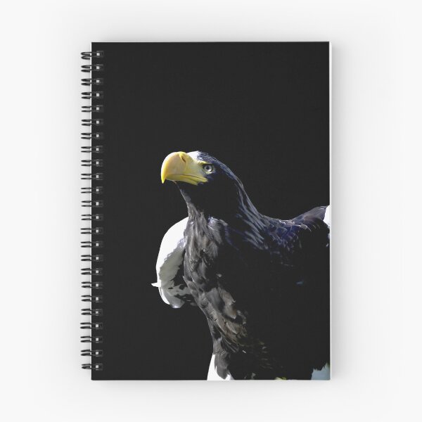 Item preview, Steller’s sea eagle  44/ Swiss Artwork Photography designed and sold by Raphael Wolf.
