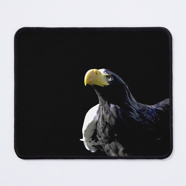Item preview, Steller’s sea eagle  44/ Swiss Artwork Photography designed and sold by Raphael Wolf.