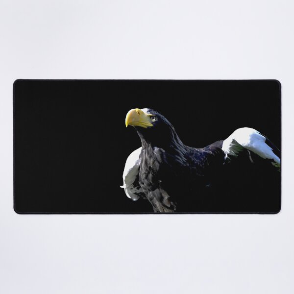 Item preview, Steller’s sea eagle  44/ Swiss Artwork Photography designed and sold by Raphael Wolf.