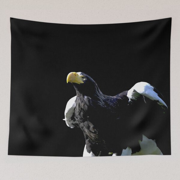 Item preview, Steller’s sea eagle  44/ Swiss Artwork Photography designed and sold by Raphael Wolf.