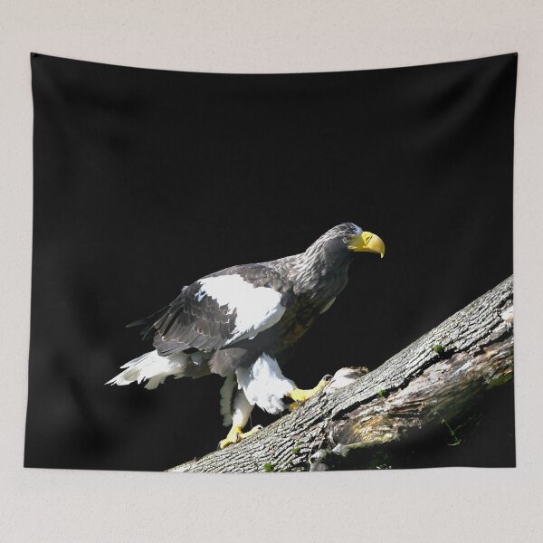 Item preview, Steller’s sea eagle 22 / Swiss Artwork Photography designed and sold by Raphael Wolf.