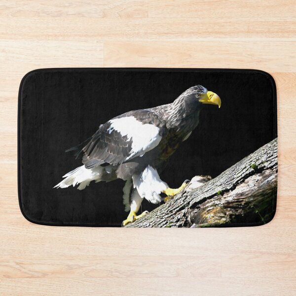 Item preview, Steller’s sea eagle 22 / Swiss Artwork Photography designed and sold by Raphael Wolf.