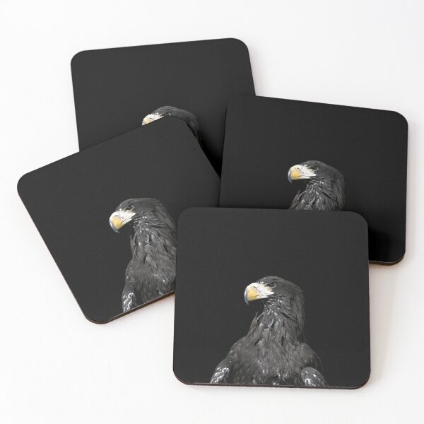 Item preview, Steller’s sea eagle 11 / Swiss Artwork Photography designed and sold by Raphael Wolf.
