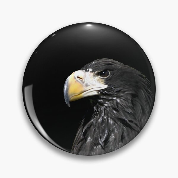 Item preview, Steller’s sea eagle 11 / Swiss Artwork Photography designed and sold by Raphael Wolf.