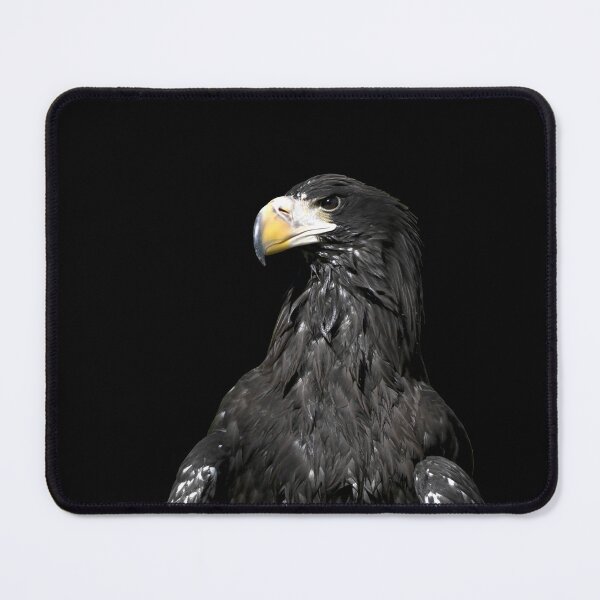Item preview, Steller’s sea eagle 11 / Swiss Artwork Photography designed and sold by Raphael Wolf.
