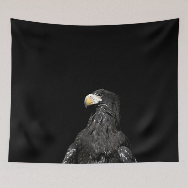 Item preview, Steller’s sea eagle 11 / Swiss Artwork Photography designed and sold by Raphael Wolf.